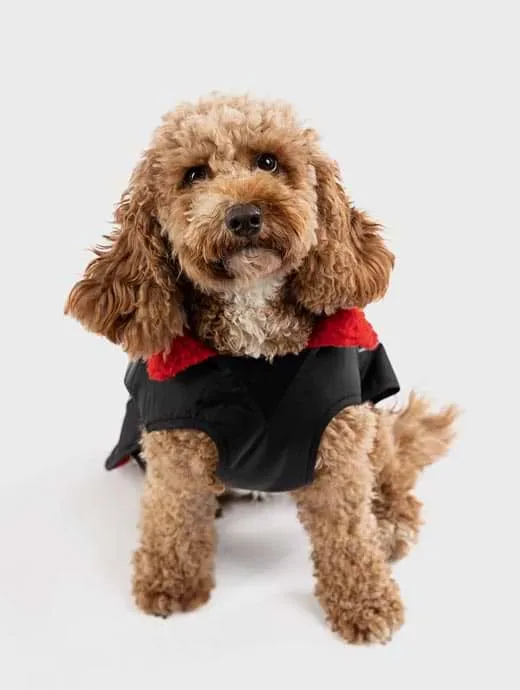 Dryrobe Dog Coat Black/Red