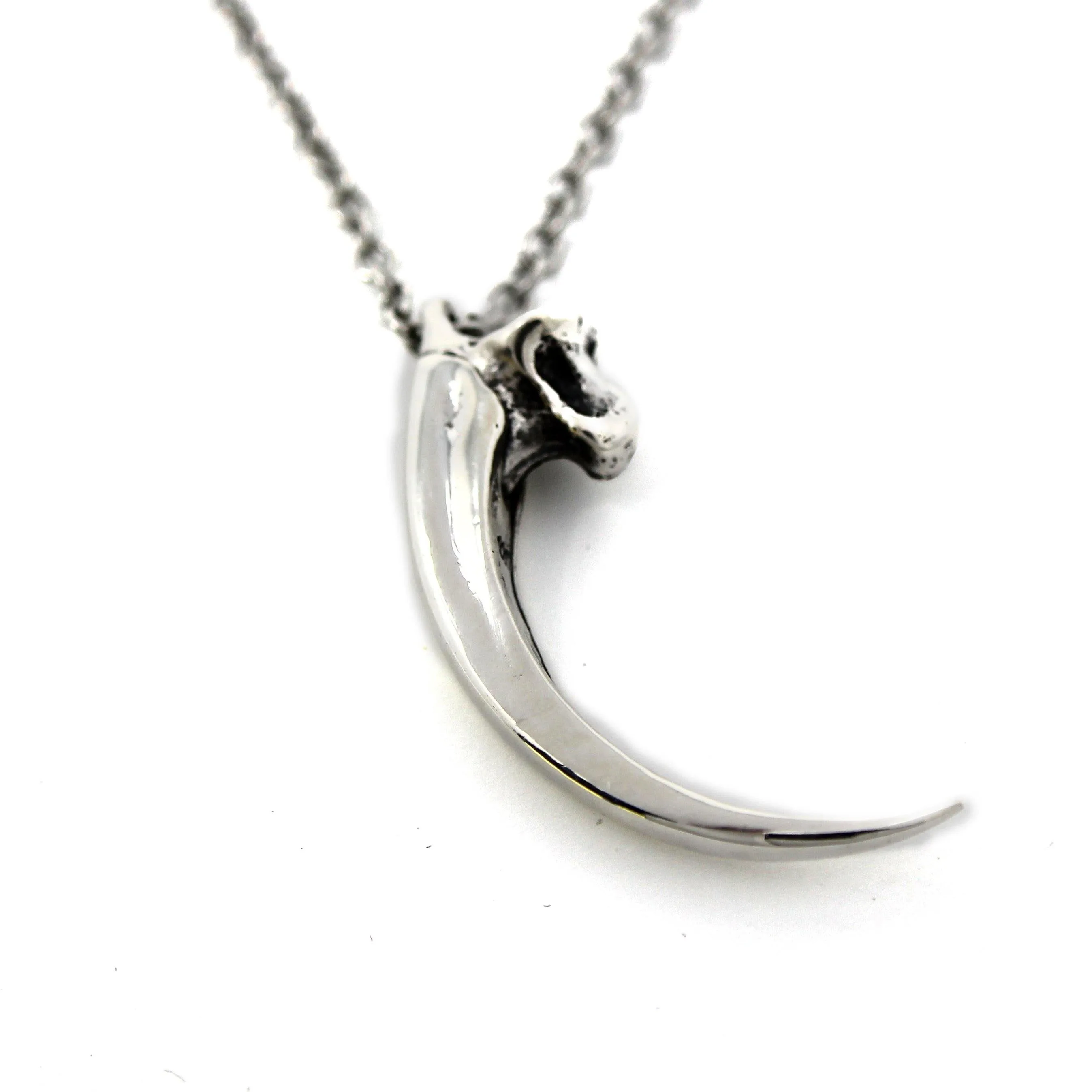 Eagle Talon Claw Necklace