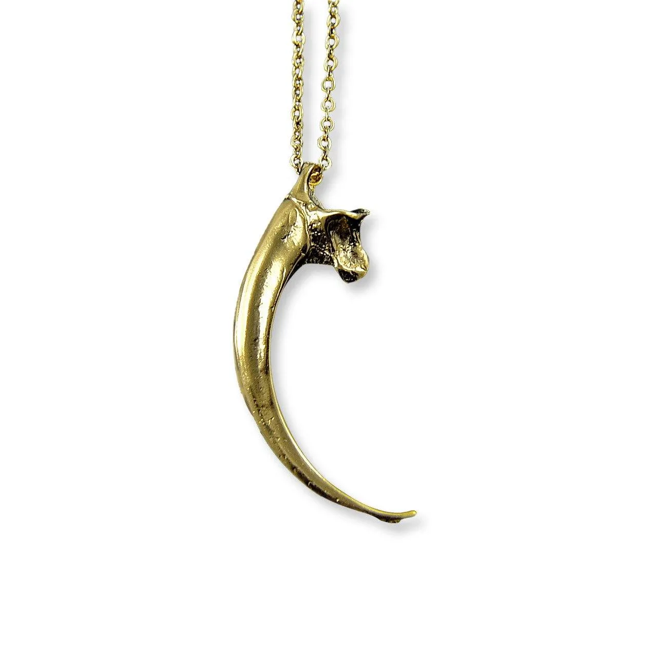 Eagle Talon Claw Necklace