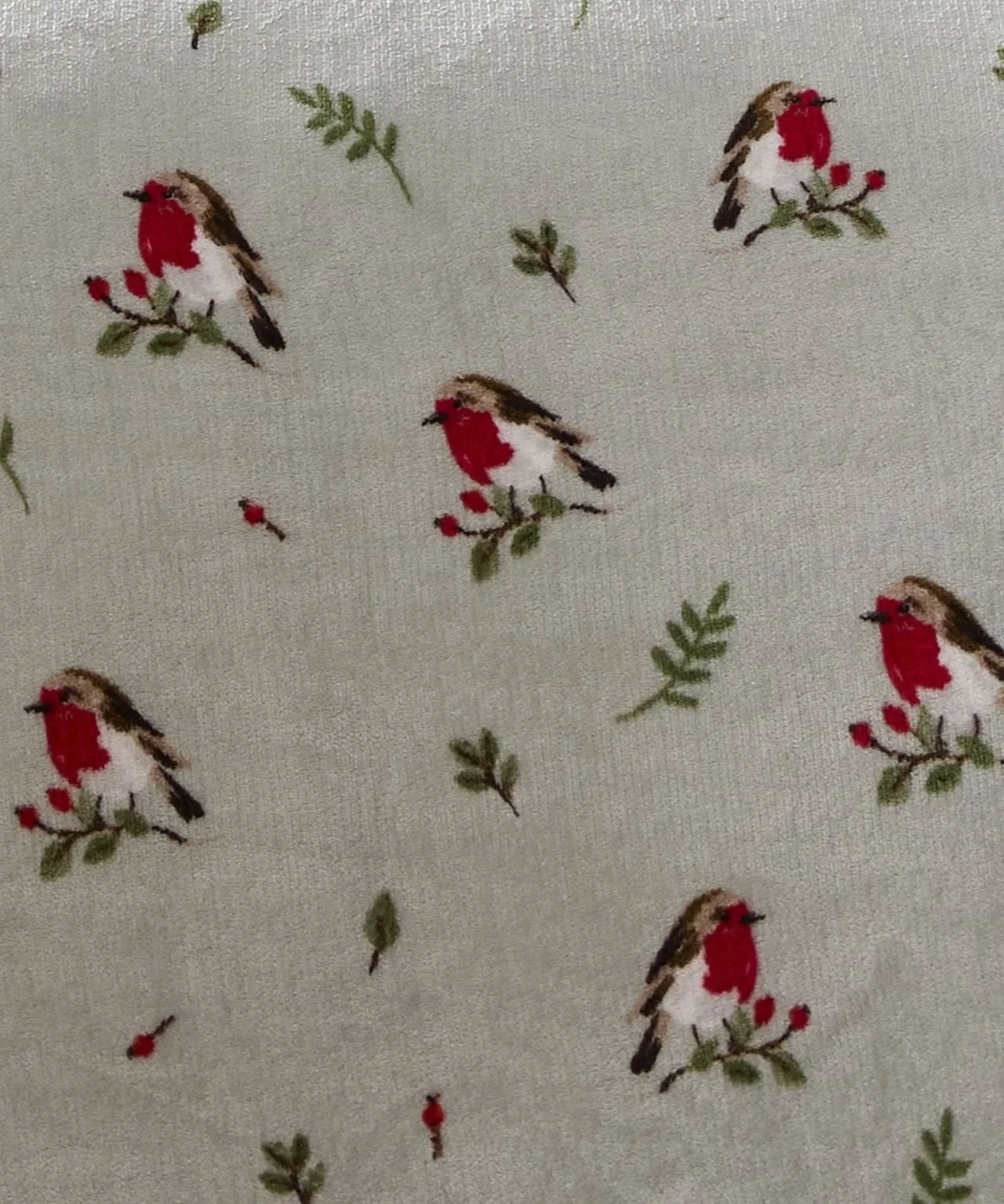 Winter Robin Fleece Duvet Set